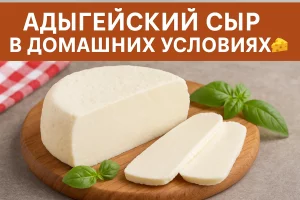 Обложка рецепта адыгейского сыра в домашних условиях