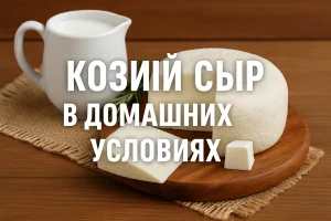 Обложка рецепта козьего сыра в домашних условиях