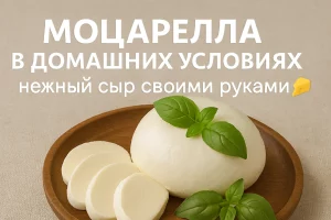 Домашняя моцарелла — обложка рецепта