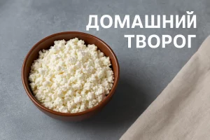 Домашний творог — обложка статьи