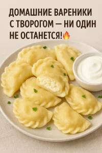 Вареники с творогом крупным планом на тарелке