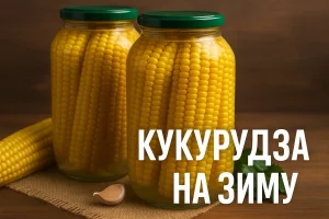 Кукурудза на зиму в качанах – обкладинка рецепту