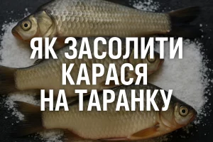 Як засолити карася на таранку