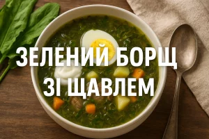 Обкладинка рецепту Зелений борщ зі щавлем